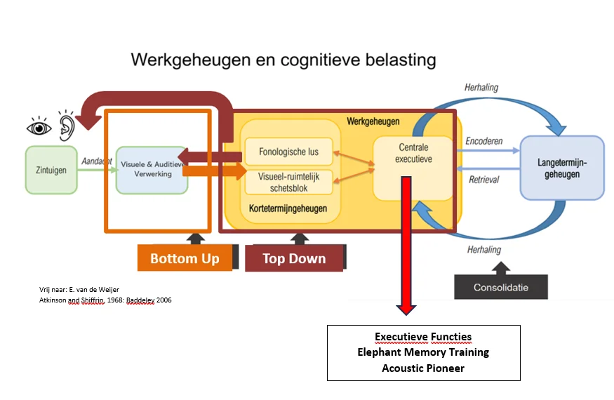Executieve Functies Schema