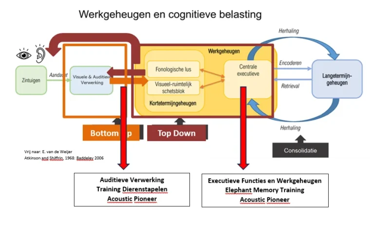 Leerproblemen Schema